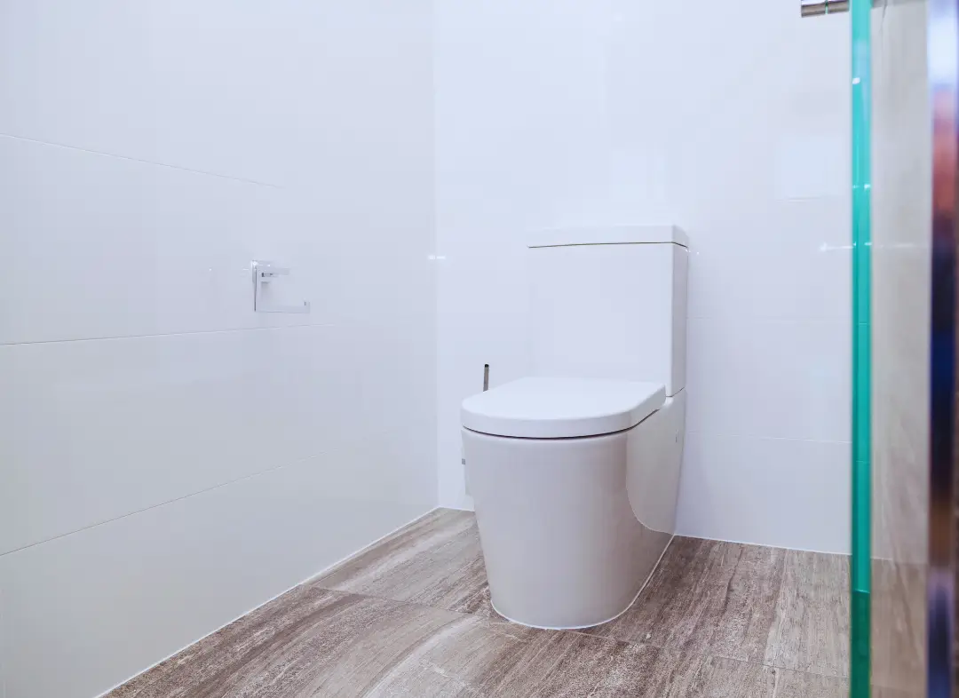 Remplacement de wc Mauges-sur-Loire